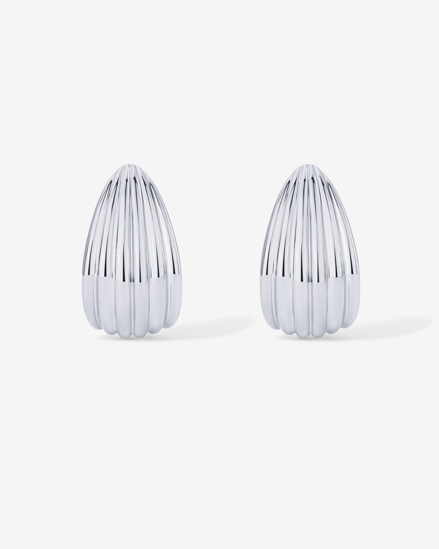 Seashell Stud Earrings
