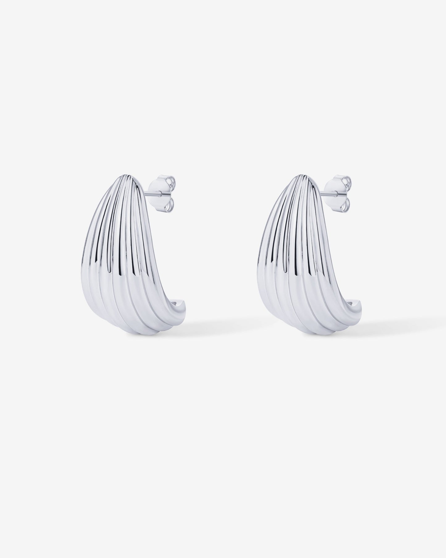 Seashell Stud Earrings