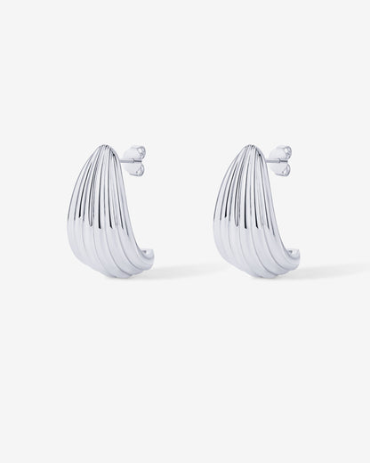 Seashell Stud Earrings