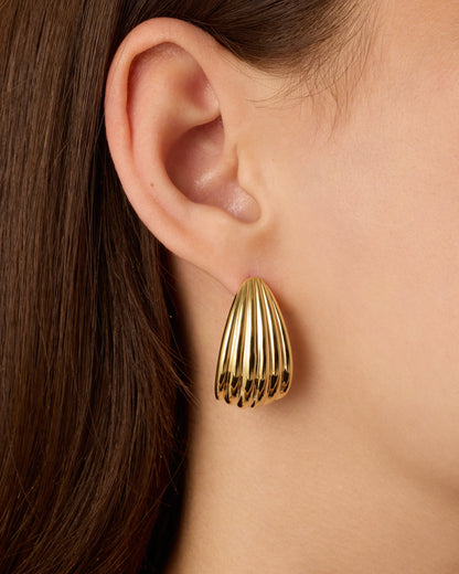 Seashell Stud Earrings