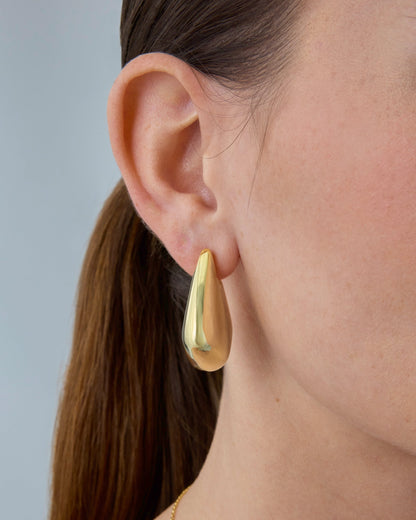 Big Fin Earrings